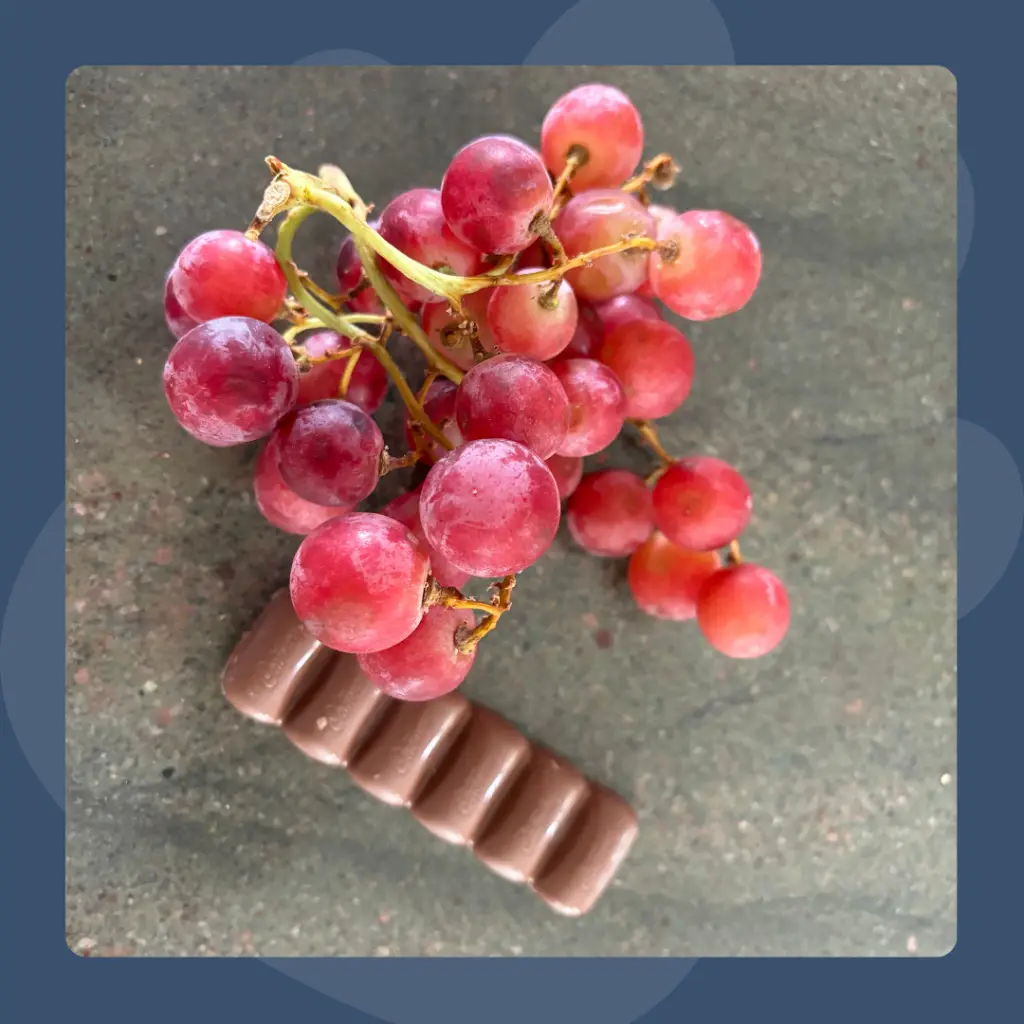 common household poisons