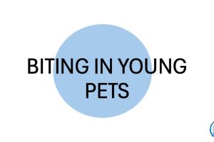 course thumbnail