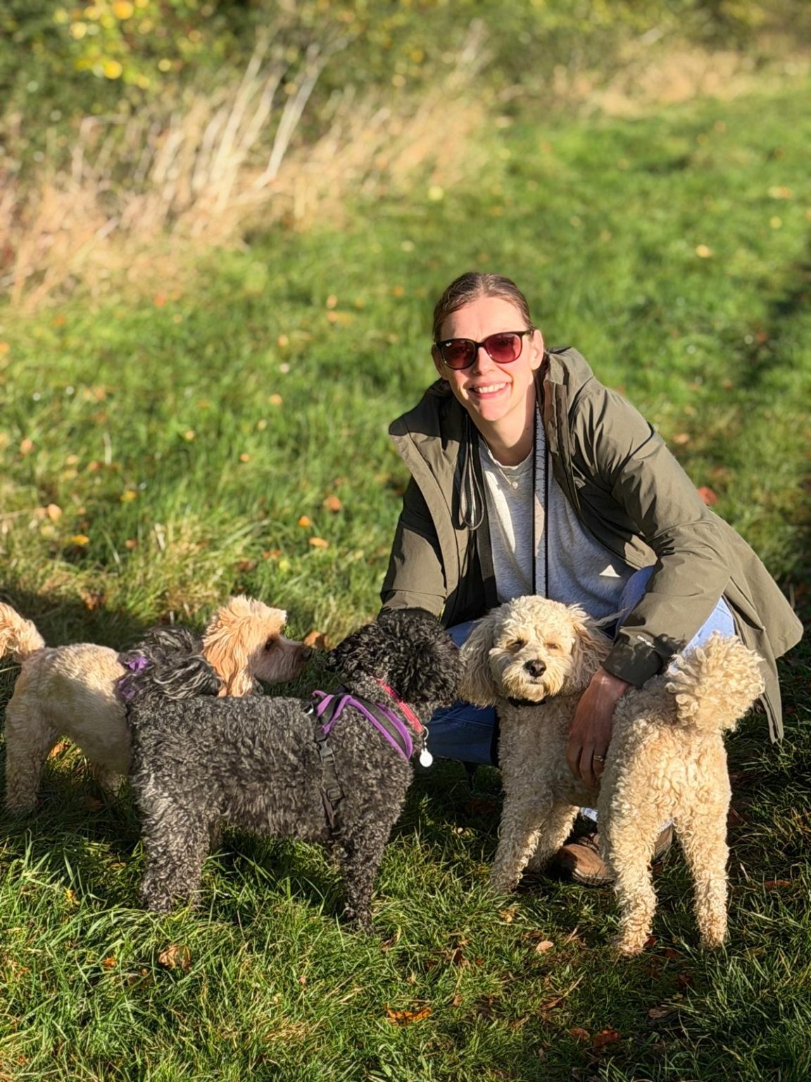 How to Start a Dog Walking Business in the UK
