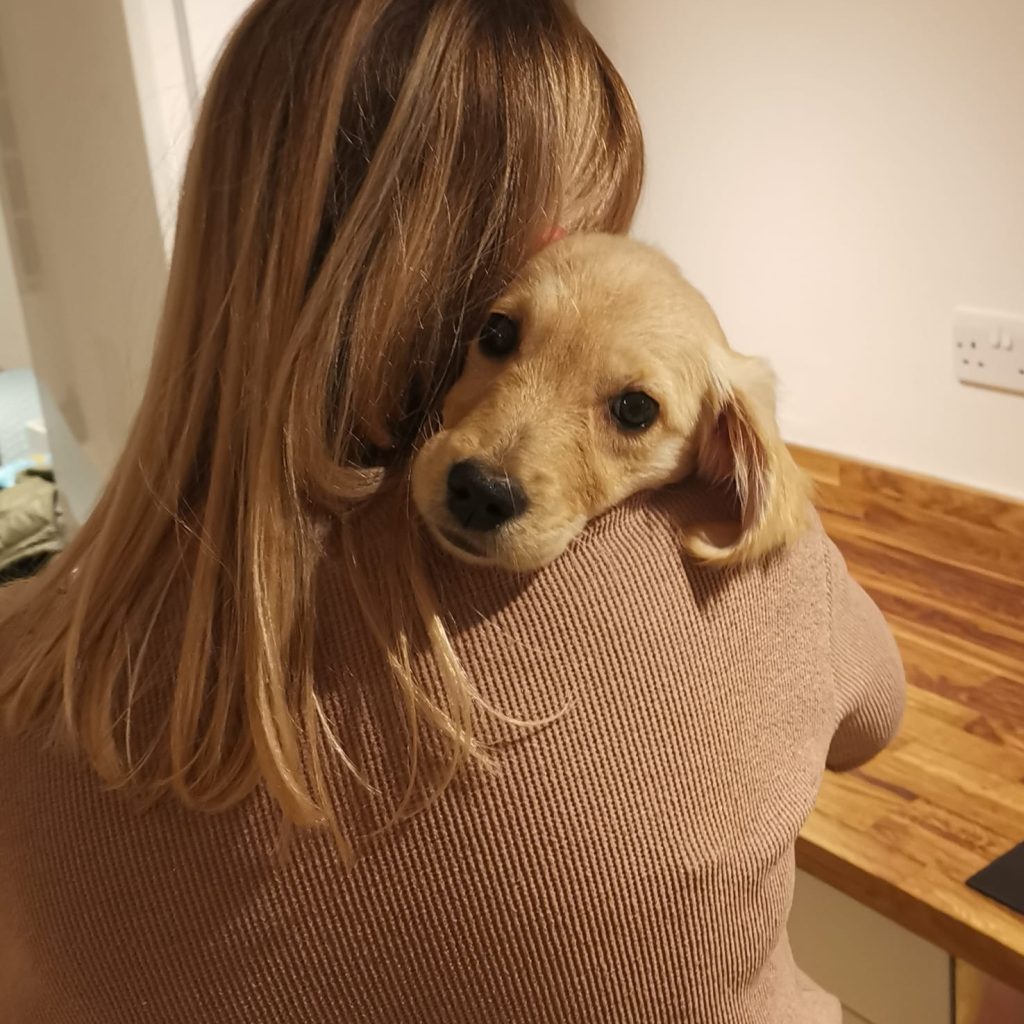 Dog Cuddles with Human 3